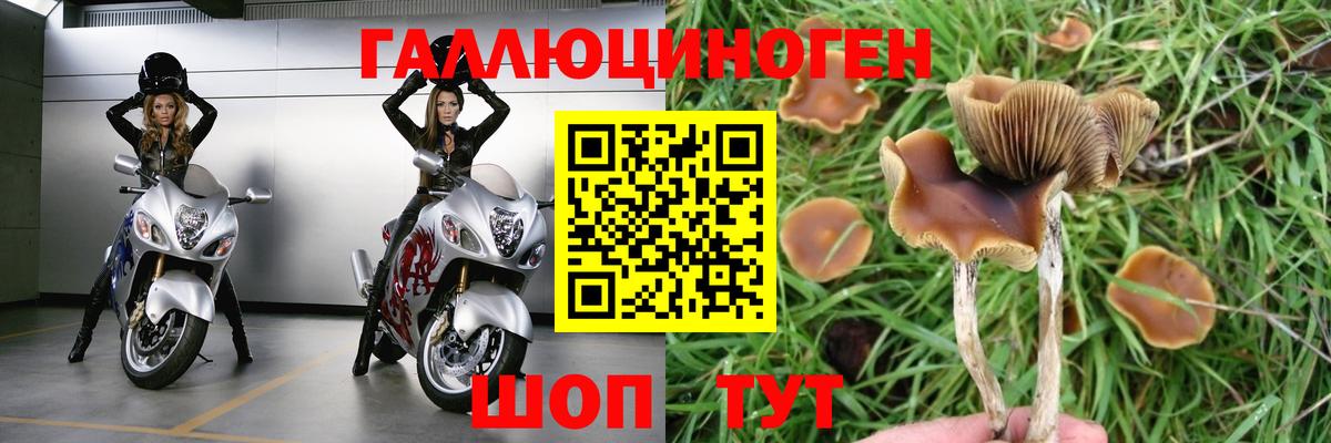 Псилоцибиновые грибы GOLDEN TEACHER  наркотики  Каменка  Псилоцибиновые грибы мухоморы  Вход с VPN 